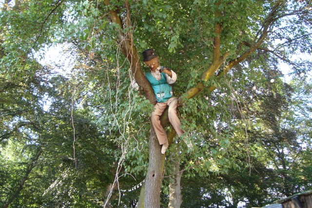 Foto 9